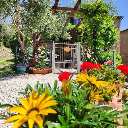 Private Stone Cottage With Starlink & Lake View Tuoro sul Trasimeno Exterior photo
